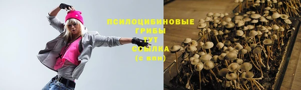 молекула духа Армянск