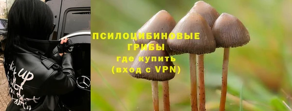 молекула духа Армянск