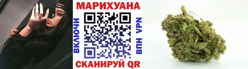 купить  цена  Волхов  Бошки марихуана THC 21% 